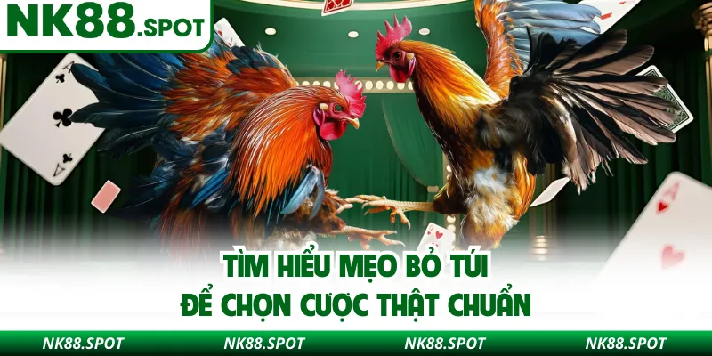 Tìm hiểu mẹo bỏ túi để chọn cược thật chuẩn 
